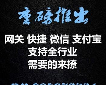 三方支付，支付接口，源码应有尽有