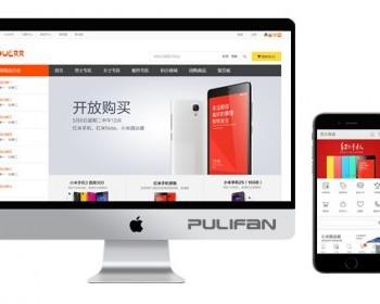 PHP商城网站源码 购物网站模板 手机商城 带后端网站建设ECSHOP