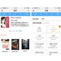 【正版】微信公众服务号订阅号公众号小说充值付费阅读变现系统可扣量三级分销加盟平台