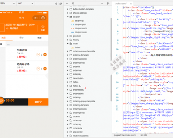 2018外卖人外卖系统xx版V9.0带小程序可更新V9.0