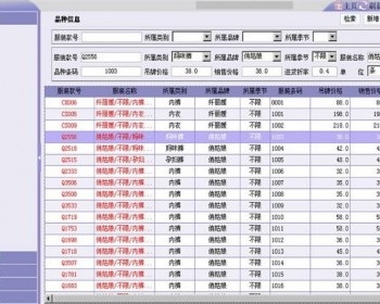 JAVA服装进销存系统完整源码 支持会员卡预存充值 采购管理 销售管理