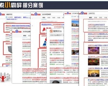 【暴涨流量】最新SEO站群/泛目录/养站/非d58站群/寄生虫/送蜘蛛池/二级目录站群/霸屏