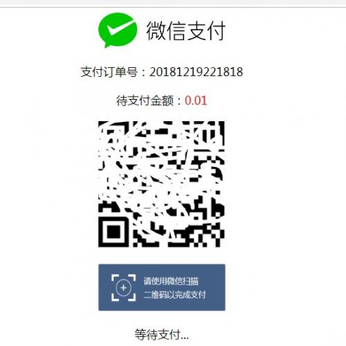 付费接码网站是什么软件