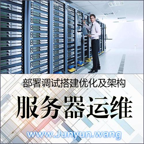 网站安装 搬家 网站源码上传 网站故障处理服务 服务器环境配置