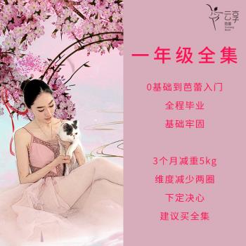 芭蕾舞零基础入门视频教程舞蹈教学分解形体基本功训练