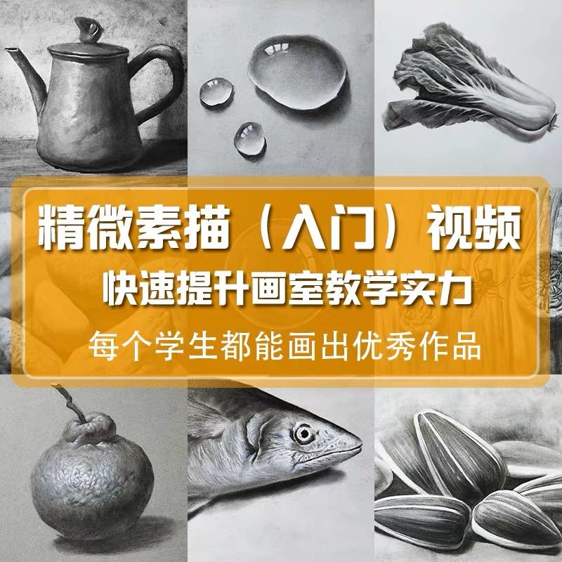 精微素描素材入门基础视频课程教程儿童画室教学电子课件趣味图集