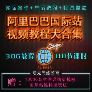 阿里巴巴国际站跨境运营教程课程外贸营销兵法数据中台教程视频