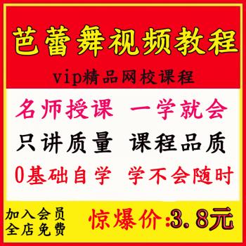零基础自学芭蕾舞基本功形体训练资料舞蹈教学视频教程儿童成人