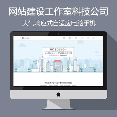 网络公司建设公司网站源码html5响应式php高端大气网站模版dede