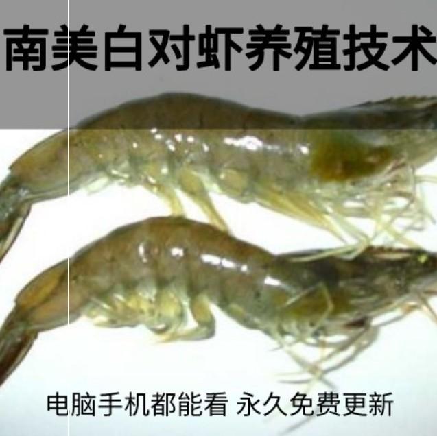 南美白对虾养殖技术资料视频材人工育苗工厂化养殖大全教程视频
