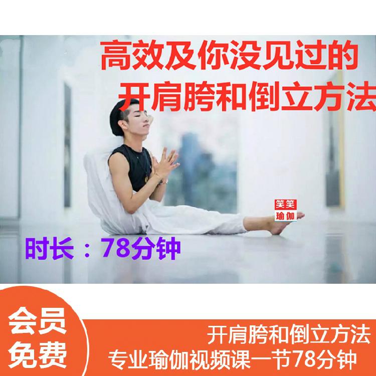 瑜伽课程私教 史上高效及你没见过的开肩胯和倒立方法 视频教程教