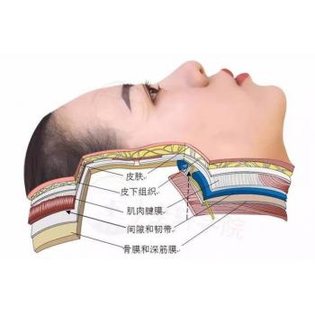 美容整形解剖高清讲解实操视频教程