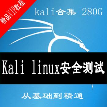 Kali Linux安全测试基础到精通全套视频教程web攻防Metasploit