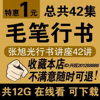 书法教程网课 毛笔教学张旭光行书课程 高清视频教程在线看可下载