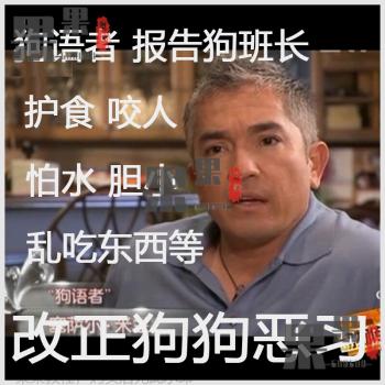 狗语者报告狗班长训狗视频教程狗不听话护食咬人怕水乱吃东西.