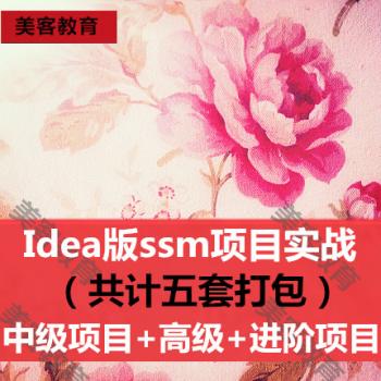 ssm项目加视频 java项目实战ssm ssm框架web金融支付教程idea版