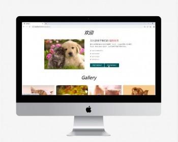 宠物领养管理系统源码