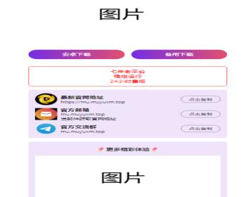 2024软件APP下载单页