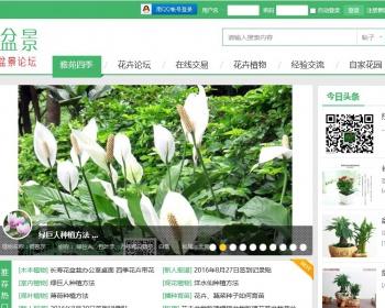 discuz模板论坛多配色高端大气花卉论坛模板-支持X3.2