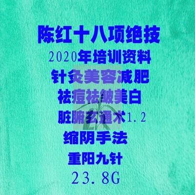 2020年陈红十八项绝技针灸美容减肥美白祛皱脏腑玄通术培训视频