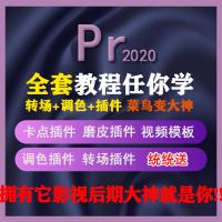 pr2020插件软件全套合集安装包转场调色预设视频剪辑教程模板素材