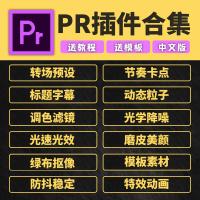 Pr插件全套合集一键安装转场磨皮调色预设短视频剪辑教程模板素材