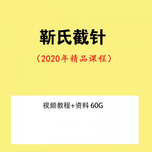 靳庆东靳氏截针中医针灸可以学会的针灸视频教程 资料 60G