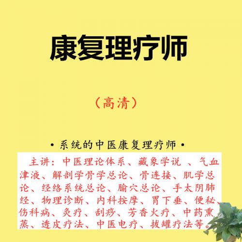 20中医康复理疗医学经络腧穴解剖学按摩刮痧拔罐火疗电疗视频教程