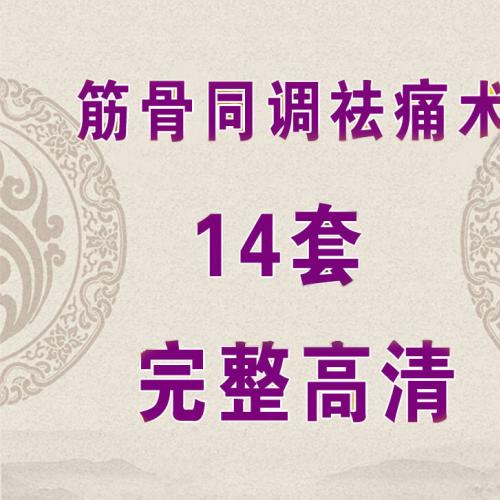 赵鹏飞筋骨同调动态平衡祛痛术推拿按摩视频教程大全高清肩颈腰膝