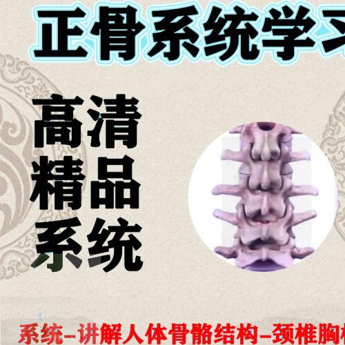 2020年正骨系统学习手法视频入门到进阶中医柔性推拿按摩整脊教程