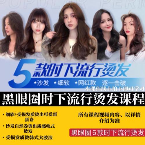 2020最新黑眼圈5款时下流行烫发课程美发视频教程