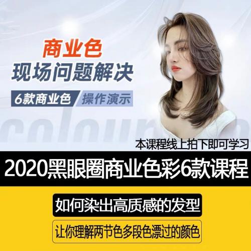 2020黑眼圈商业色彩6款课程美发染发视频教程附赠商业造型
