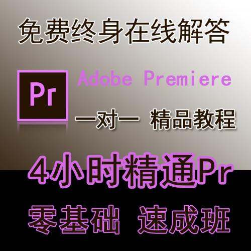PR教程零基础4小时速成剪辑教学短视频精品课程在线解答大师pr课