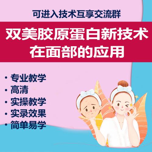 双美胶原蛋白新技术在面部应用实操实录高清课件课程授课视频教程
