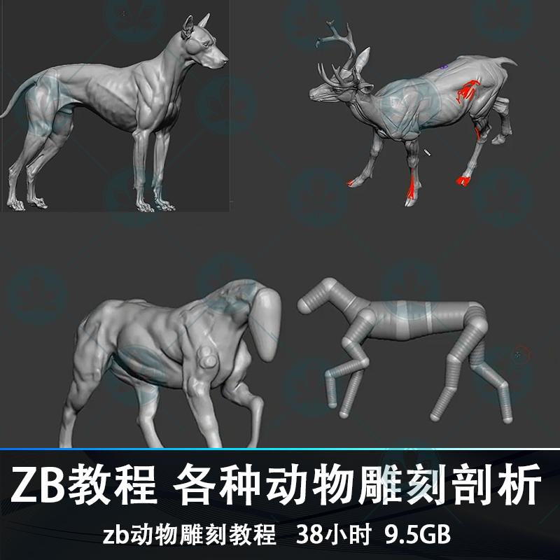 zb动物雕刻教程zbrush教学各种动物雕刻深入剖析视频