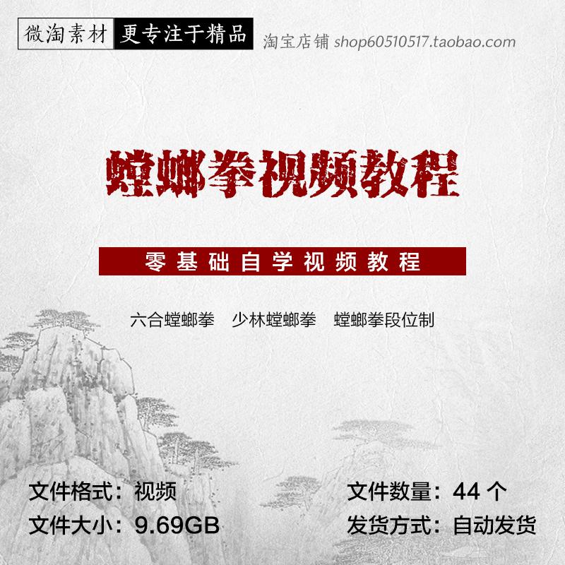 螳螂拳视频教程零基础自学传统武术套路实战技法健康养生
