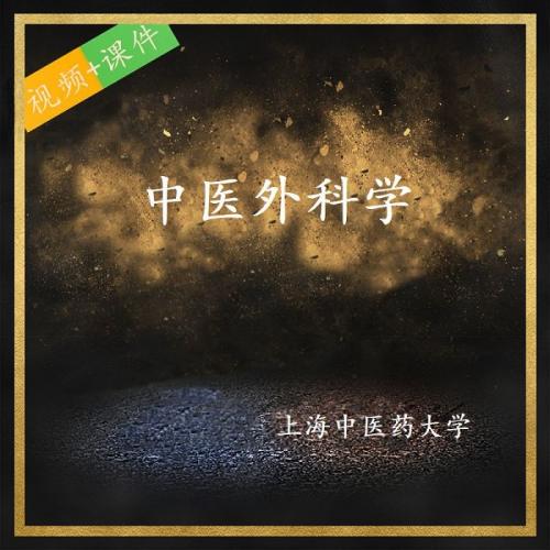 上海中医药大学 陈红风 中医外科学 视频 课程 PPT课件 视频教程