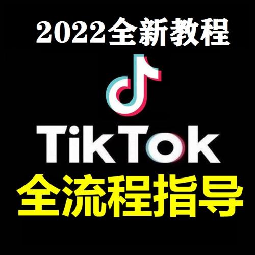 国际版海外抖音跨境电商短视频tiktok直播教程带货运营课程