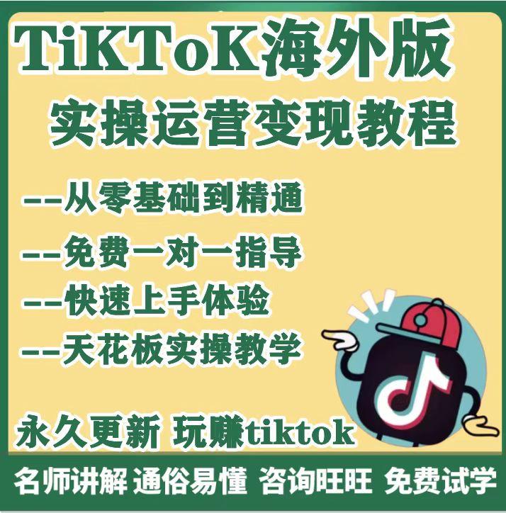 tiktok国际版运营教程海外抖音直播短视频跨境电商变现课程