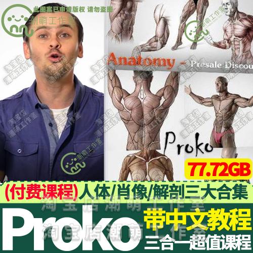 proko付费课程素描3套付费版人体基础结构解剖中文绘画视频教程PS