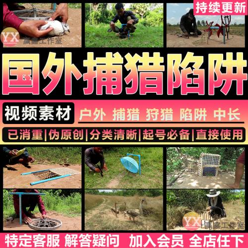 狩猎捕猎陷阱手工制作视频野外丛林捕捉动物飞禽国外中长视频素材