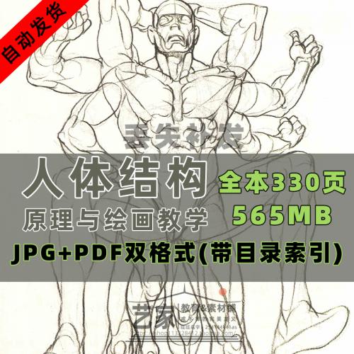 人体结构图片参考素材原理 与绘画教学电子版pdf动漫角色高清合集
