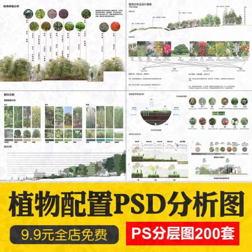 园林设计植物配置图PSD分层绿植种植被分析环艺搭配ps素材PS素材