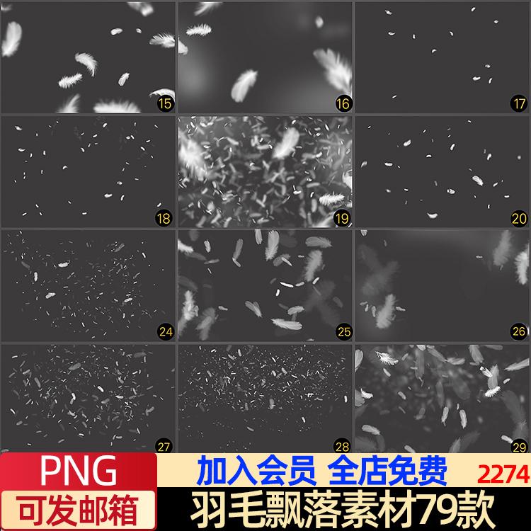 梦幻羽毛飘落效果特效照片装饰叠层PNG图片影楼后期设计元PS素材