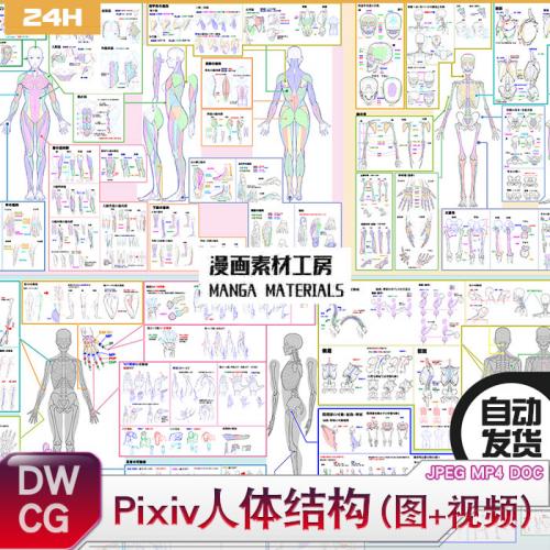 P站漫画素材工坊 人体结构 图+视频 含部分汉化