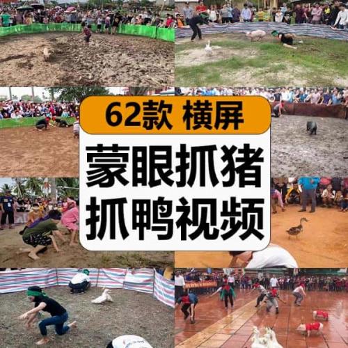 越南乡村蒙眼抓猪鹅鸭趣味运动比赛高清视频热门抖音无人直播素材