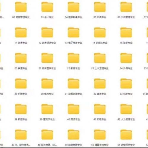 电子版100个专业大学生职业生涯规划word范文pdf素材