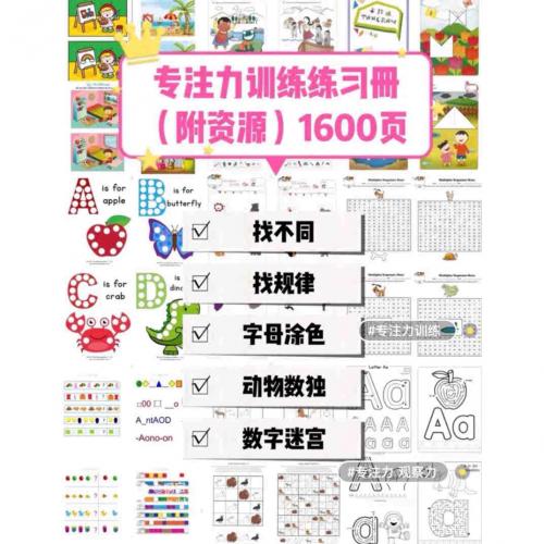 儿童专注力训练册1600页附资源专注力训练提升孩子学习效率39项
