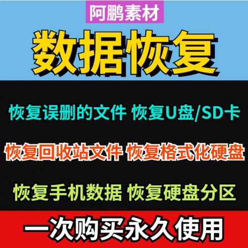 电脑格式内存卡U盘硬盘SD卡大师恢复软件视频文件文档数据神器