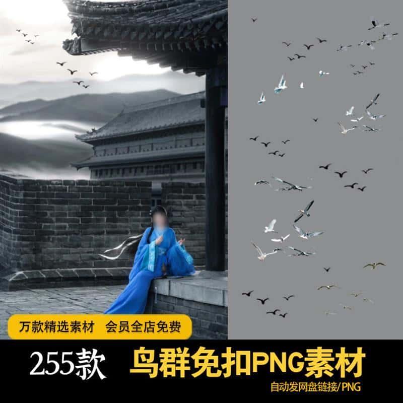 鸟群透明免扣png鸟类合成效果氛围战国袍背景ps后期飞鸟设计素材